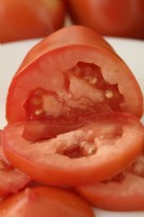 Solanum lycopersicum 'Roma VF' Tomates italiennes Fruits cueillis coupés Syn. Lycopersicon esculentum août