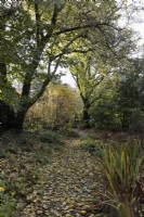 Un chemin couvert de feuilles mortes d'automne mène à une porte en bois ouverte entourée d'arbres à différents stades de couleurs automnales. La maison du jardin, Yelverton. Automne, novembre