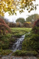 Une cascade tombe dans une clairière pleine de couleurs automnales. Des tremplins traversent le ruisseau. La maison du jardin, Yelverton. Automne, novembre