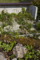 Petit jardin avec des espaces et des structures permettant à la nature de prévaloir dans les zones d'habitation humaine. Trous circulaires dans le pavage pour permettre le drainage et la croissance des plantes. Été.