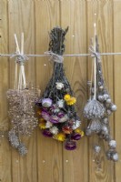 Des bouquets de fleurs éternelles et des têtes de graines de nigelle et d'allium sont cueillis dans le jardin et suspendus pour sécher.