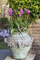 Une grande urne plantée de Tulipa 'Ballade', sous-plantée d'altos.