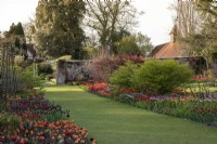 Dans le Jardin Chaud, long parterre côté gauche planté de tulipes 'Irène', 'Annie Schilde'r, 'Reine de la Nuit' et 'Doll's Menuet' écarlates'. Parterre de droite planté de tulipes 'Slawa', 'Avignon', 'Suncatcher', 'Oxford' et 'Orange Princess.