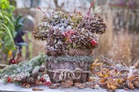 Arrangement hivernal avec fleurs séchées d'hortensia, baies de rose de Gueldre et cônes en pot recouvert d'écorce.