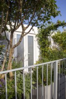 Un jardin urbain avec balcon sur le toit avec des pots avec des plantations mixtes comprenant Punica granatum - Grenadier et Trachelospermum jasminoides - Jasmin étoilé grimpant sur une tonnelle métallique