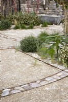 Un chemin de gravier et de coquillages concassés dans un jardin méditerranéen résistant à la sécheresse - RHS Malvern Spring Festival - The Home away Garden conçu par Emily Crowley-Wroe