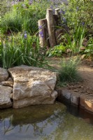 Un jardin respectueux de la faune avec un étang bordé de rochers et de poutres métalliques - un chemin de gravier - de vieilles souches d'arbres comme habitat pour la faune et Iris sibirica 'Nuit tropicale'