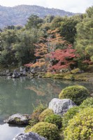 Plantation d'arbres et d'arbustes au bord du lac du Jardin Sogen reflété dans l'eau. Acers aux couleurs automnales. Vue sur forêt et vue sur les collines de Kameyama.