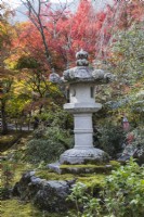 Lanterne en pierre ou Ishidoro avec Acers en couleur automne dans le jardin boisé.