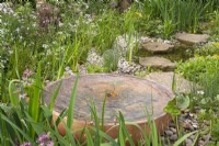 Bol en cuivre métallique avec plan d'eau dans un jardin de fleurs sauvages avec étang et tremplins avec plantation marginale