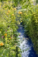 Un ruisseau d'eau moderne et contemporain, plantation mixte de plantes vivaces de Geranium phaeum 'Raven', Trollius chinensis 'Golden Queen' et Ranunculus acris