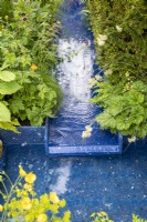 Un ruisseau d'eau moderne et contemporain fabriqué à partir de plastiques recyclés avec une plantation mixte de plantes vivaces Geranium phaeum 'Raven' et un Taxus baccata - haie d'if anglais