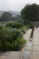Ruisseau contemporain en pierre d'York bordé de plantations de Romarin, Buis, Graminées, Gaura 'Whirling Butterflies' et Linaria x purpurea 'Peachy' - Toad Lin