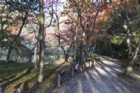Chemin et Acers aux couleurs automnales dans la zone Nakaragi-no-mori du jardin. 