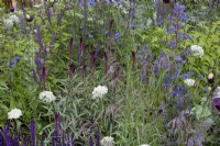 Plantation mixte de plantes vivaces dans « The Wedgwood Garden » au RHS Chatsworth Flower Show 2019, juin 