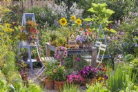 Pots avec Impatiens, Lantana, basilic et autres plantes annuelles exposés sur une terrasse en gravier. 