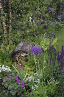 Plantation mixte de plantes vivaces entourant un hôtel à insectes naturel dans le 'RHS Garden for Wildlife Wild Woven' - RHS Chatsworth Flower Show 2019, juin 