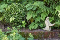 Statue d'oiseau perchée sur un mur de briques moussues avec boule de boîte, Buxus sempervirens, feuillage d'anémone japonaise, Anemone x hybrida et Alchemilla mollis. 