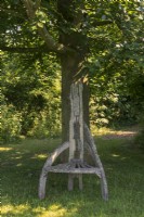 Chaise en bois patiné à haut dossier, connue par les propriétaires sous le nom de 'chaise du Seigneur des Anneaux', réalisée par un artisan voyageur, sous le hêtre Fagus sylvatica, dans la prairie. 