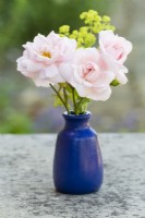 Rosa 'New Dawn' dans un vase en poterie bleue sur une table extérieure en pierre. 