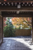 Entrée pavée du temple et vue sur le jardin paysager. Acers aux couleurs automnales. 