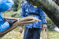 Jardinier portant des vêtements imperméables bleus et un casque attachant une corde à un poteau en bambou utilisé pour protéger les arbres de la neige appelé Yukitsuri. 