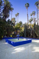 Jardin Majorelle, jardin Yves Saint Laurent, bassin avec fontaine entourée de cactus et de palmiers 