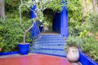 Jardin Majorelle, jardin Yves Saint Laurent, marches carrelées vertes et bleues entourées de plantations mixtes de vivaces 