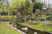 Scène de parc printanier avec une clôture en bois et un plan d'eau composé d'un ruisseau et d'un étang au milieu de buissons de camélias et d'arbres en fleurs. 