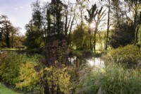 Plantation de tourbières au bord de l'étang dans un jardin de campagne en octobre comprenant Eupatorium purpureum et miscanthus 