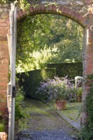 Vue à travers la porte d'un jardin clos jusqu'à une paire de pots en terre cuite plantés de Salvia 'Phyllis' Fancy' en octobre 