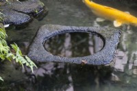 Piscine rectangulaire en pierre située dans un bassin plus grand. Carpe Koi dans l'eau. 