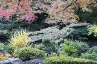 Vue large sur le jardin avec des conifères et plusieurs arbres et arbustes aux couleurs d'automne. 