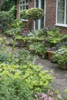 Disposition des pots par la porte arrière dans un jardin en contrebas de banlieue ouvert à la charité, Whittington, juin 