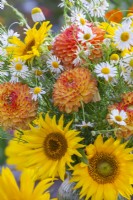 Bouquet de fleurs d'été jaune-orange-blanc contenant des tournesols, des dahlias et des camomilles. 