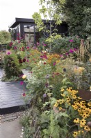 Parterre de jardin de fin d'été avec Rudbeckia 'Goldsturm', Cosmos bipinnatus 'Dazzler' et Echinops 