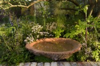 Bol encore avec une eau dans un parterre de fleurs avec des plantes couvre-sol. The Nurture Landscapes Garden, Designer : Sarah Price, médaillée d'or RHS Chelsea Flower Show 2023 
