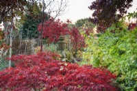 Urne en terre cuite dans un jardin d'automne avec des acers rouges ardents 