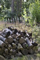 Tas de bois naturel dans un jardin boisé 