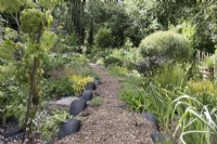 Sentier à travers un jardin boisé naturaliste avec pneus recyclés le long du sentier 