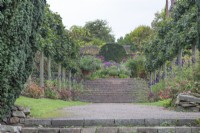 Intensification de la promenade à la chaux plissée au jardin botanique de Winterbourne, en septembre 