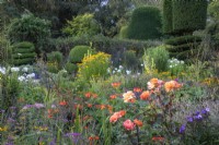Les topiaires d'ifs et de buis forment un arrière-plan pour les parterres de fleurs d'été dans le jardin fleuri du Manor Little Compton. 