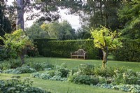 Vue sur le jardin des quatre carrés du Manoir, Little Compton, en passant par Wisteria sinensis 'Alba' standard jusqu'à un banc en bois. 