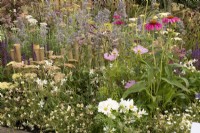 RHS Tatton Park 2022 - Parterres de fleurs plus verts - WE the Flowerbed par Queenie Chan 