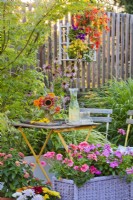 Plantations en pot sur la terrasse avec Impatiens et Pélargonium, composition florale avec une boisson fraîche sur la table. 