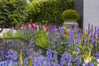 Un parterre de fleurs vivaces colorées planté de Nepeta et de Salvia entoure le plan d’eau. Un grand pot en céramique avec une boule d'if en arrière-plan. Créateur : Kevin Dennis, Bord Bia Bloom 2023 