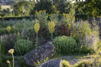 Verbascum olympicum et autres plantes vivaces de fin d'été dans un parterre de jardin sec avec de gros rochers intelligemment placés pour la structure 