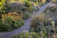 Un chemin pavé mène à travers un parterre de fleurs estival profond avec Allium sphaerocephalon, Fenouil, Veronicastrum et Verbascum olympicum 