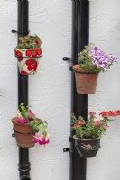 Pots décoratifs sur gouttières plantés de plantes annuelles d'été, juillet 
