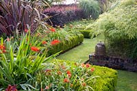 Jardin avec du lin de Nouvelle-Zélande 